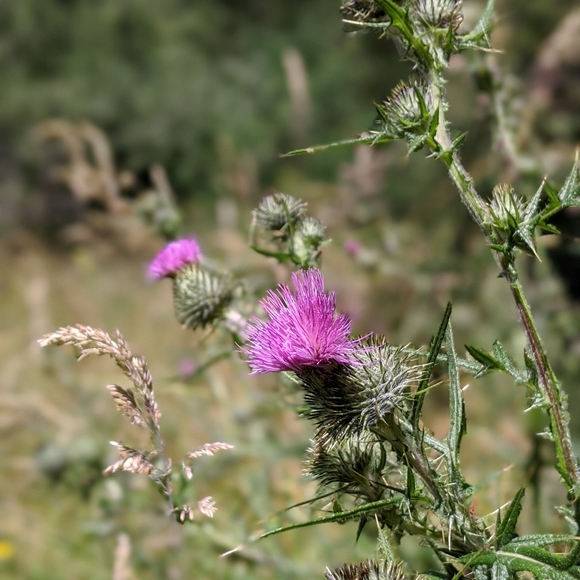 Meet your Posher, Caitlin - Picture 3 of 3